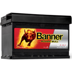 Acumulator Banner Power Bull SLI 72Ah 670A P72 09