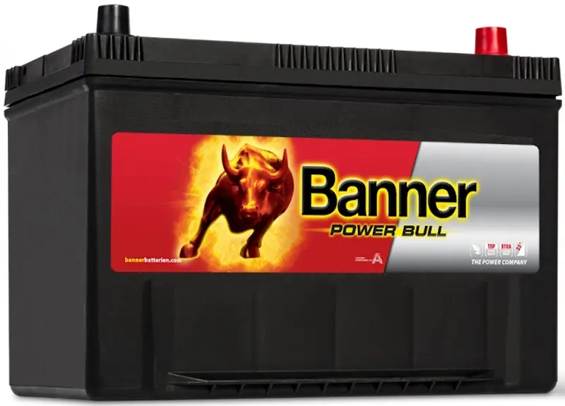 Аккумулятор Banner Power Bull SLI 95Ah 740A P95 04 Asia