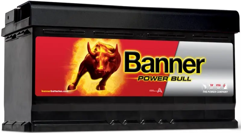 Аккумулятор Banner Power Bull SLI 95Ah 780A P95 33