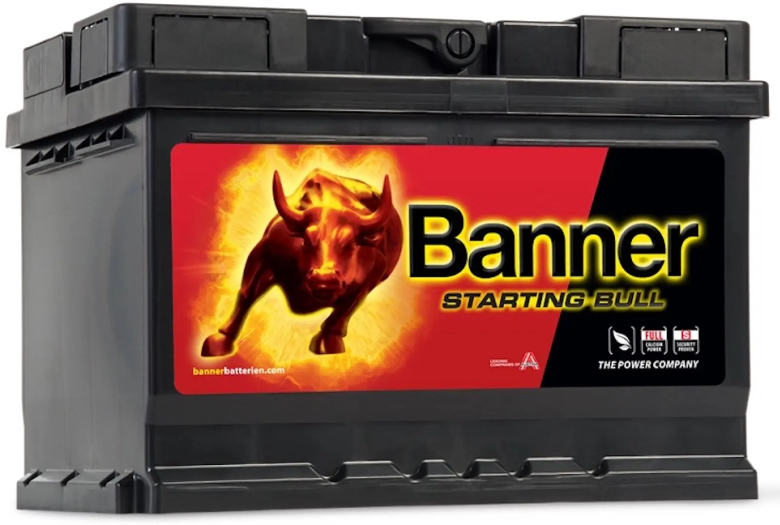 Аккумулятор Banner Starting Bull 55Ah 450A - 2