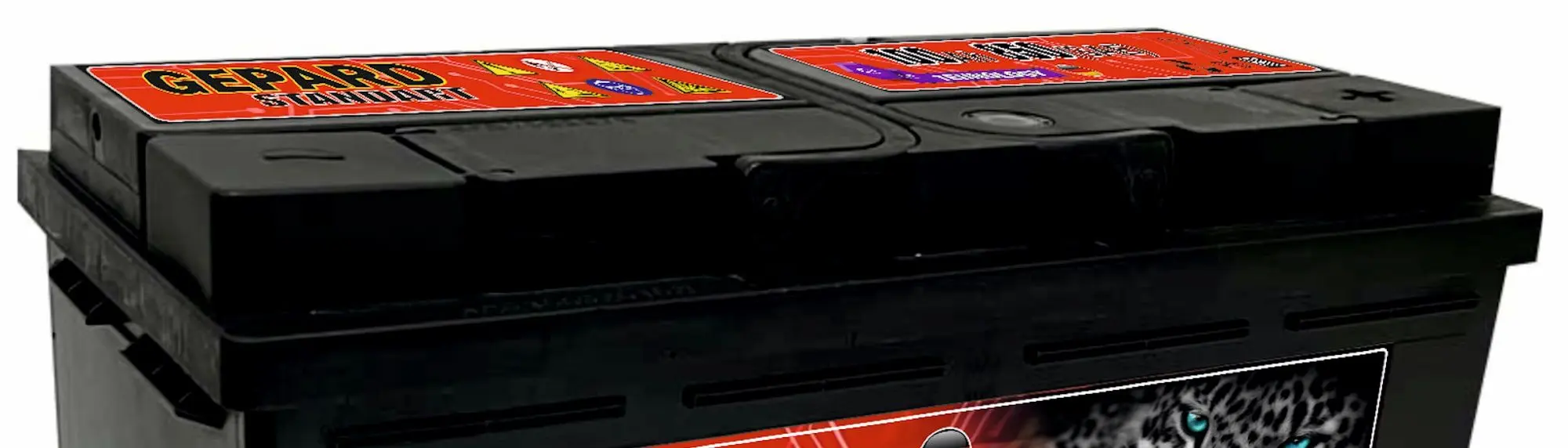 Аккумулятор Gepard Standart 100Ah 850A +R