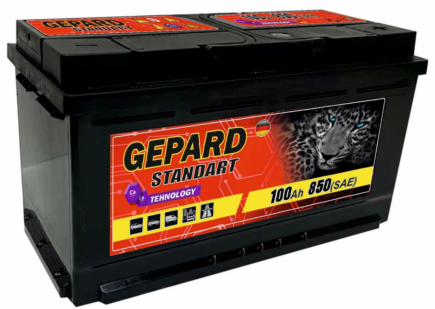 Аккумулятор Gepard Standart 100Ah 850A +R