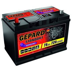 Аккумулятор Gepard Standart 75Ah 650A R+ Thumb