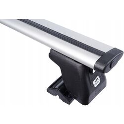 Portbagaj Amos Dromader Vivaro Plus Dynamic (Silver) Thumb