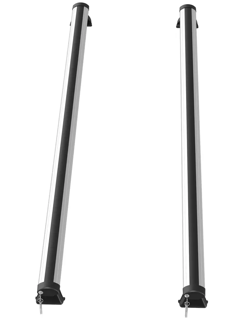 Portbagaj pentru masini  Homcom C10-007V01 (Silver/Black) - 2