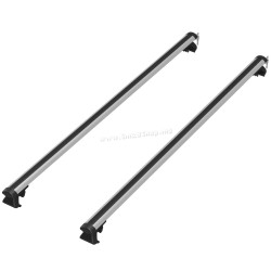 Portbagaj pentru masini  Homcom C10-007V01 (Silver/Black)