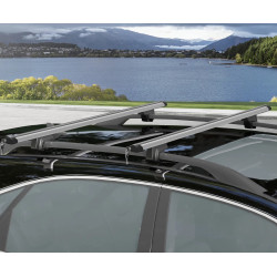 Portbagaj pentru masini  Homcom C10-007V01 (Silver/Black) Thumb
