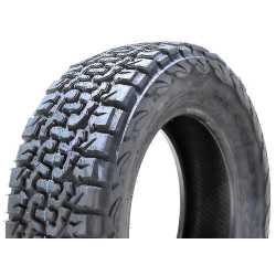 Шины Accelera Omikron C/T 225/65 R17 107Q Thumb