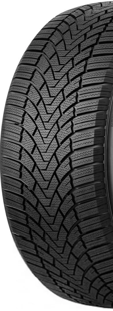 Шины Arivo Winmaster ProX ARW3 215/45 R17 91V XL - 2