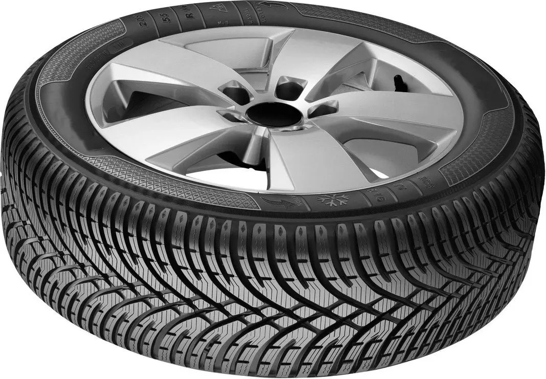 Шины Bfgoodrich G-Force Winter 2 195/55 R20 95H