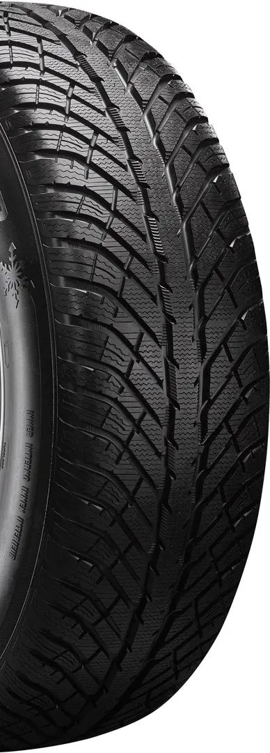 Шины Cooper Discoverer Winter 275/50 R20 113V