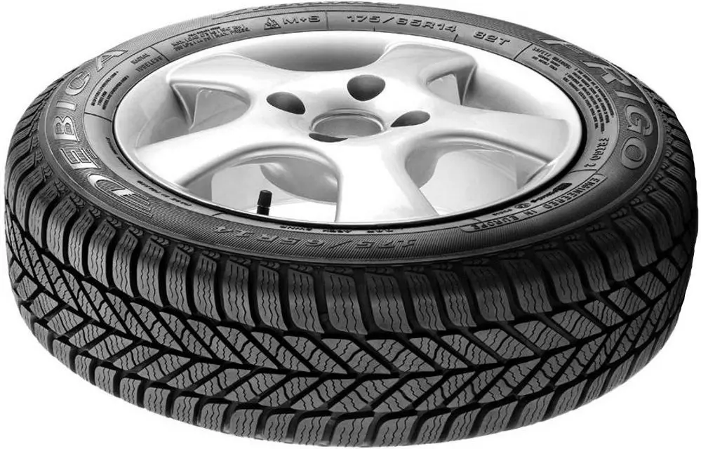 Шины Debica Frigo 2 205/55 R16 91T MS