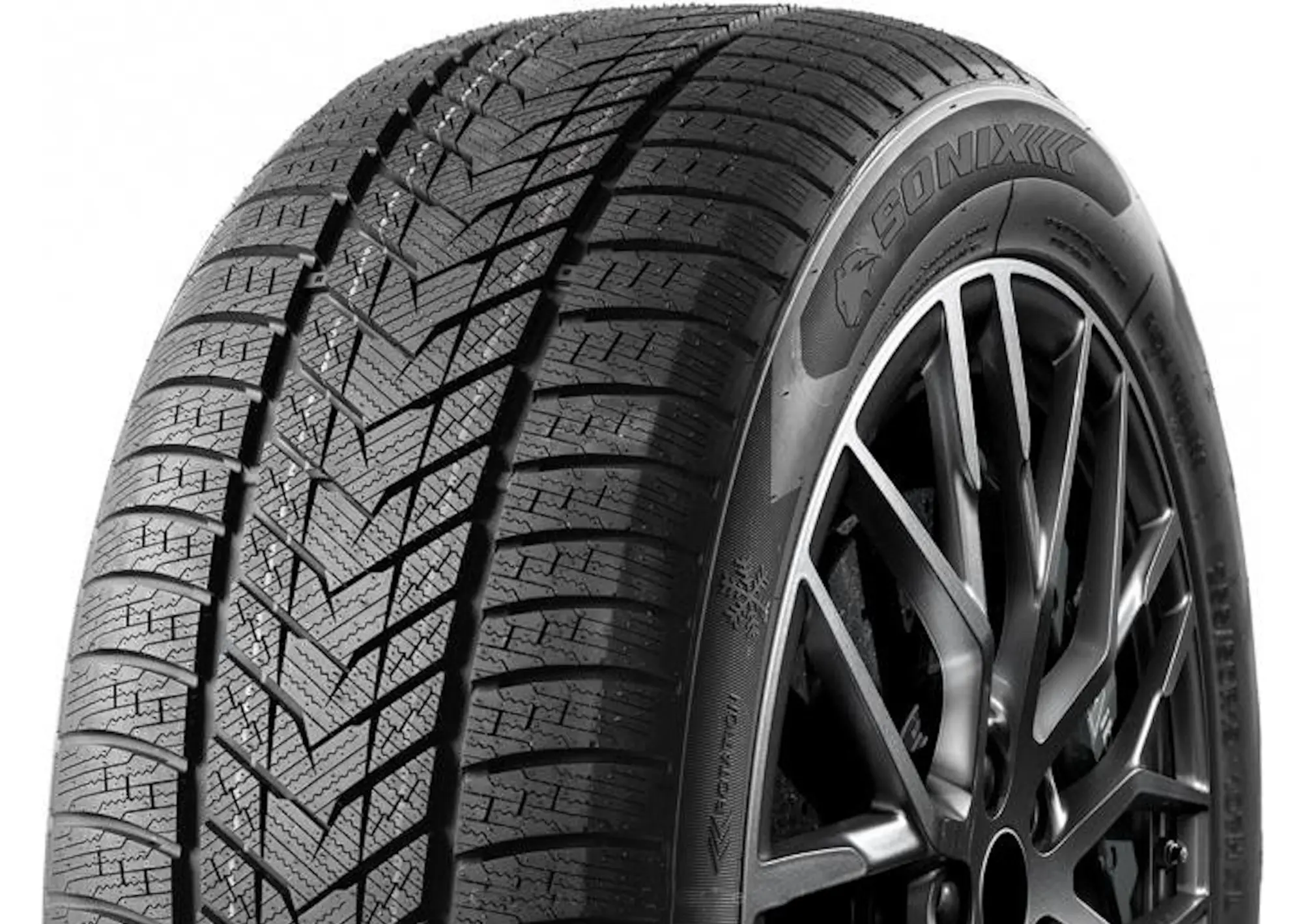Шины Fronway Icemaster II 275/40 R21 107H XL - 3