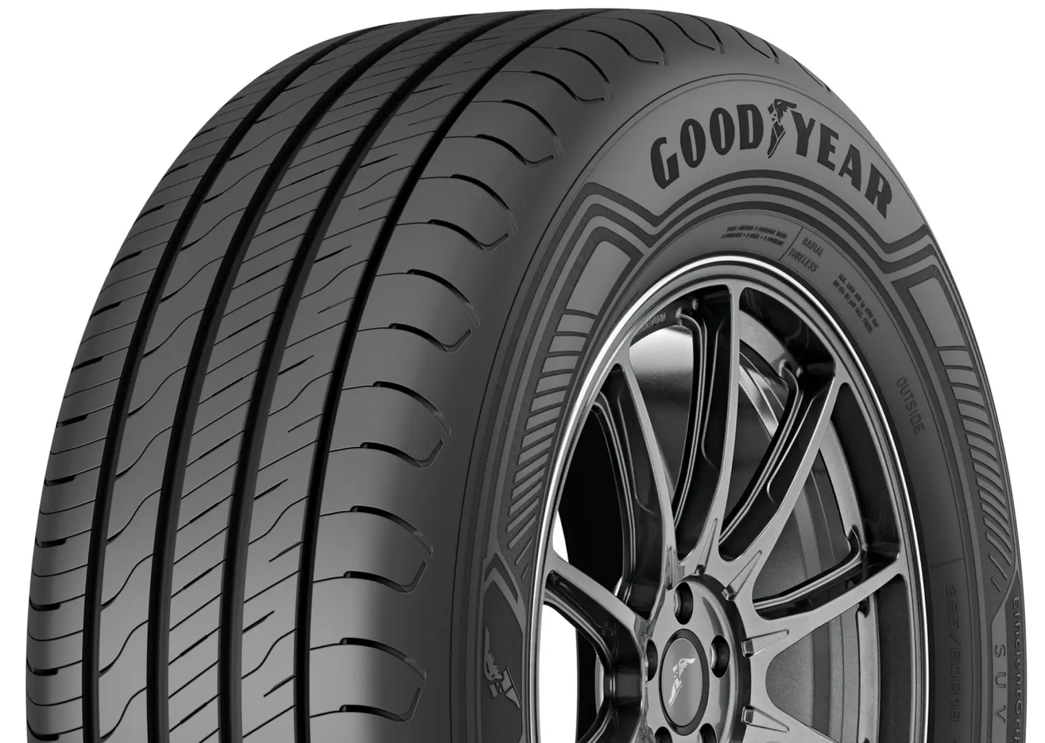 Шины Goodyear EfficientGrip 2 SUV 255/55 R19 111V - 3