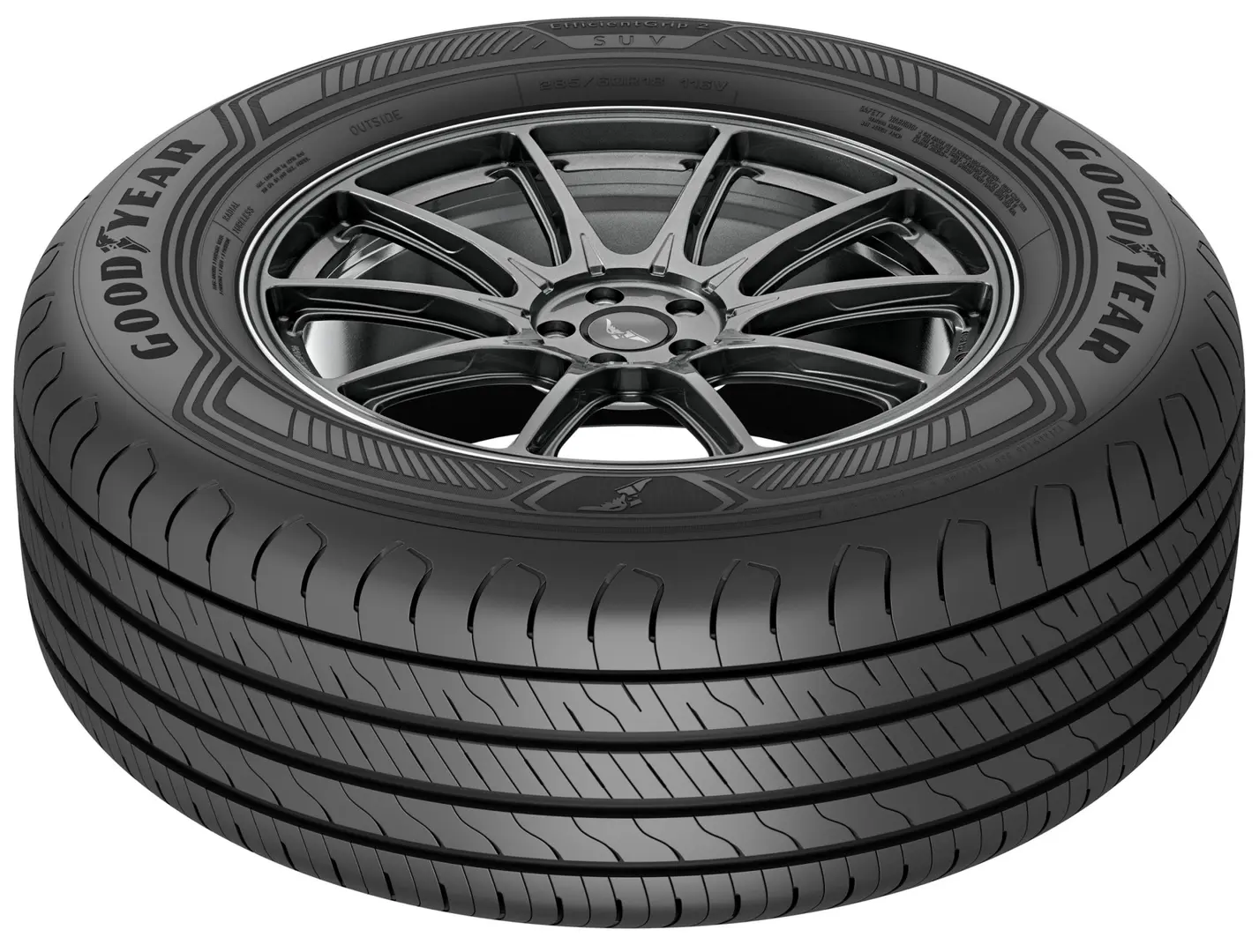 Шины Goodyear EfficientGrip 2 SUV 255/55 R19 111V - 4