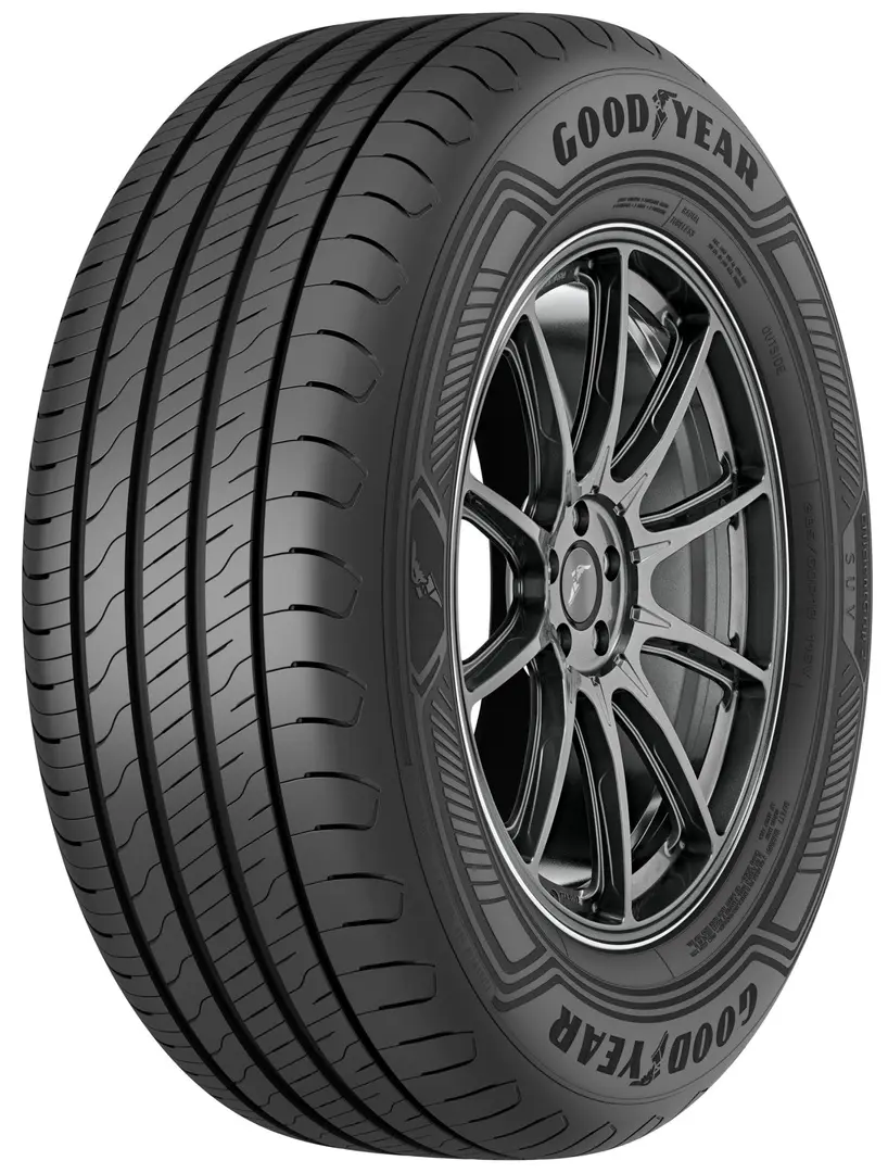 Шины Goodyear EfficientGrip 2 SUV 255/55 R19 111V