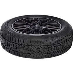 Шины Hankook Winter i'cept evo3 W330 245/50 R18 104V XL Thumb