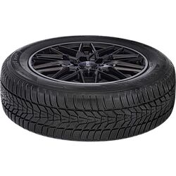 Шины Hankook Winter i'cept evo3 W330 255/55 R20 110V Thumb