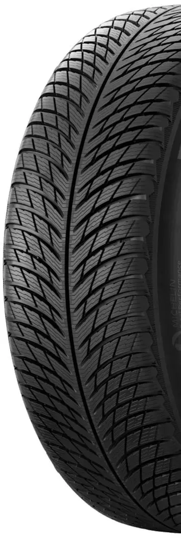 Шины Michelin Pilot Alpin 5 SUV 305/40 R21 113V