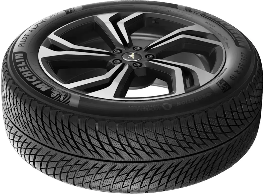 Шины Michelin Pilot Alpin 5 SUV 305/40 R21 113V