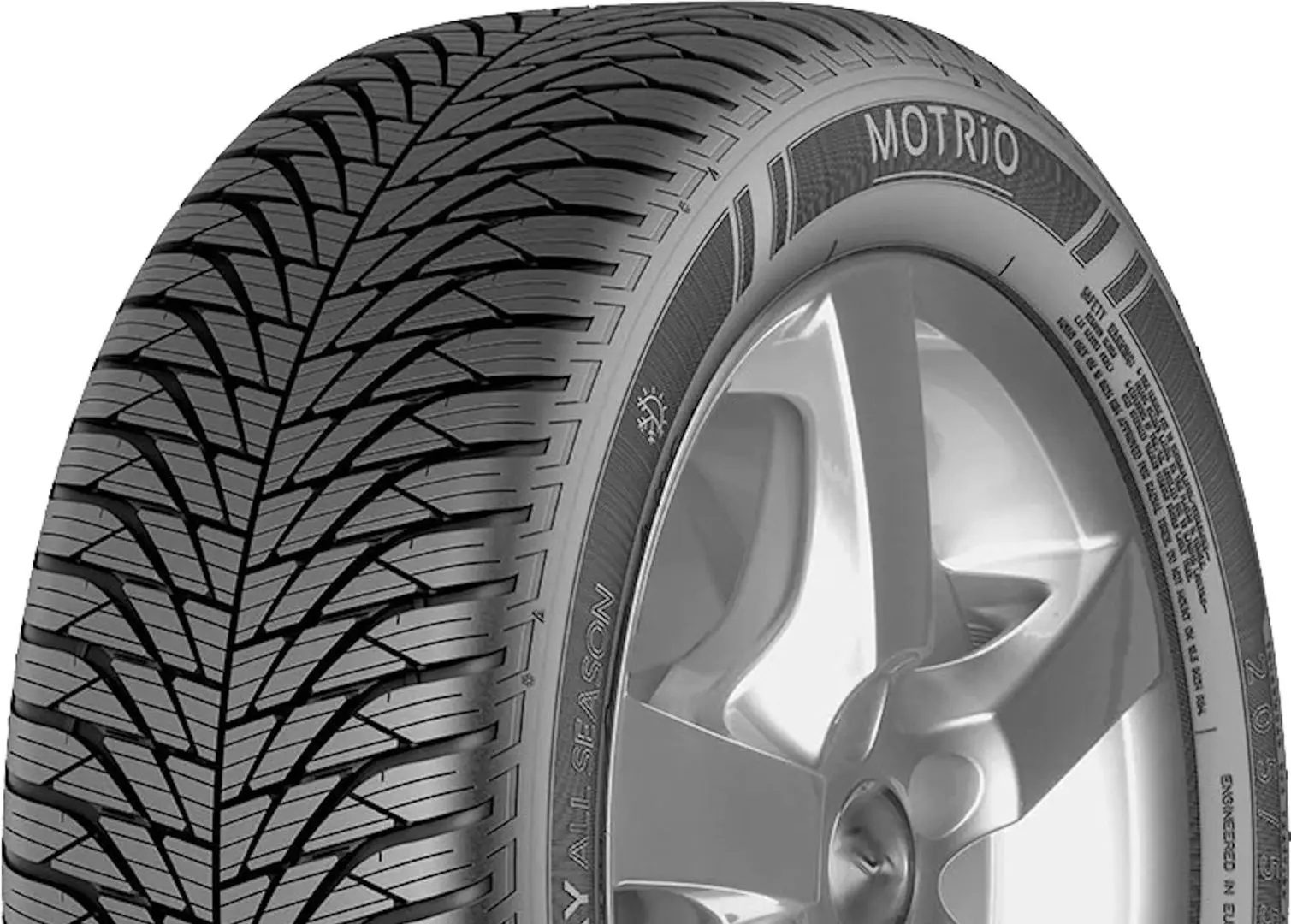Шины Motrio Fairway All Season 205/55 R16 91H
