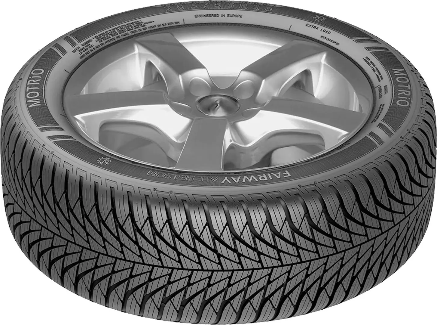 Шины Motrio Fairway All Season 215/60 R17 96H