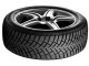 Шины Nexen Winguard Winspike 3 225/55 R18 98T