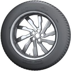 Шины Nitto NT421A 225/65 R17 106V XL TL Thumb