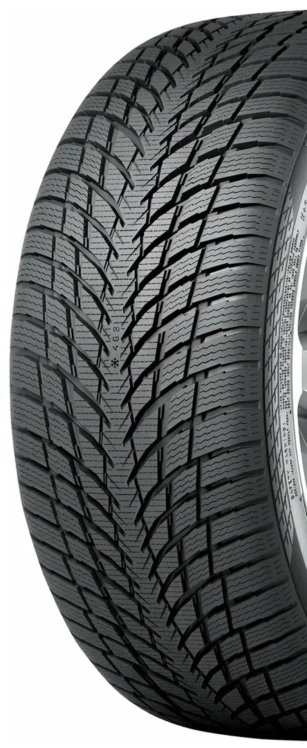 Шины Nokian WR Snowproof P 225/50 R18 99V XL