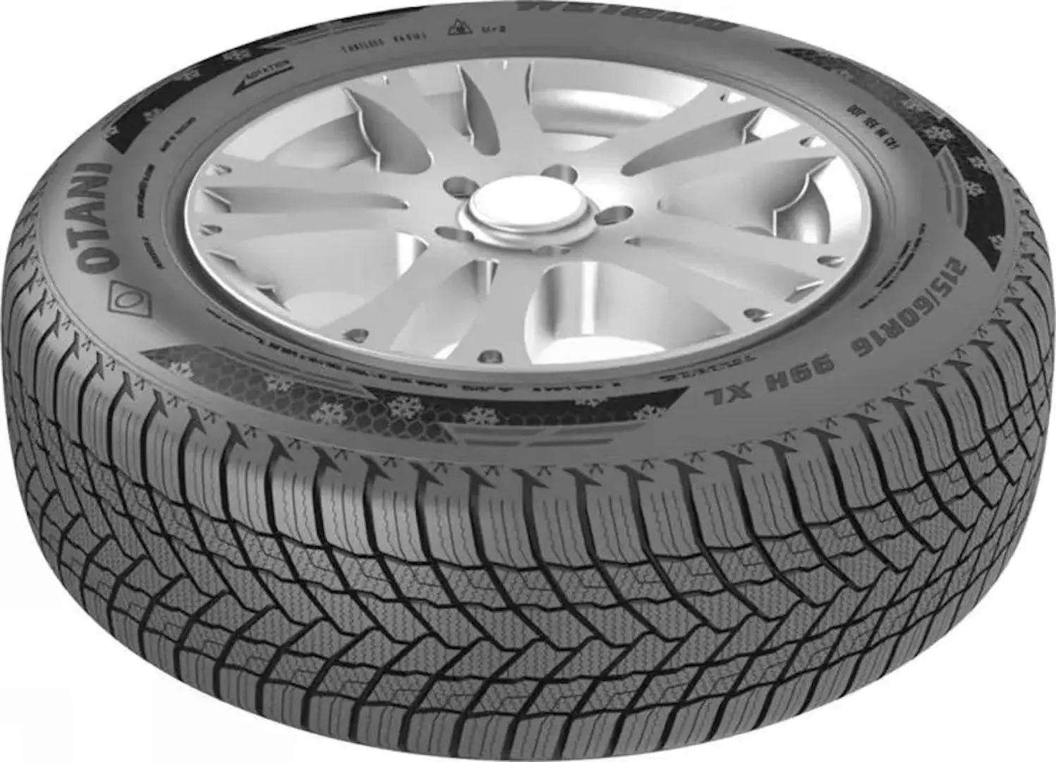 Шины Otani WE1000 195/55 R15 85H