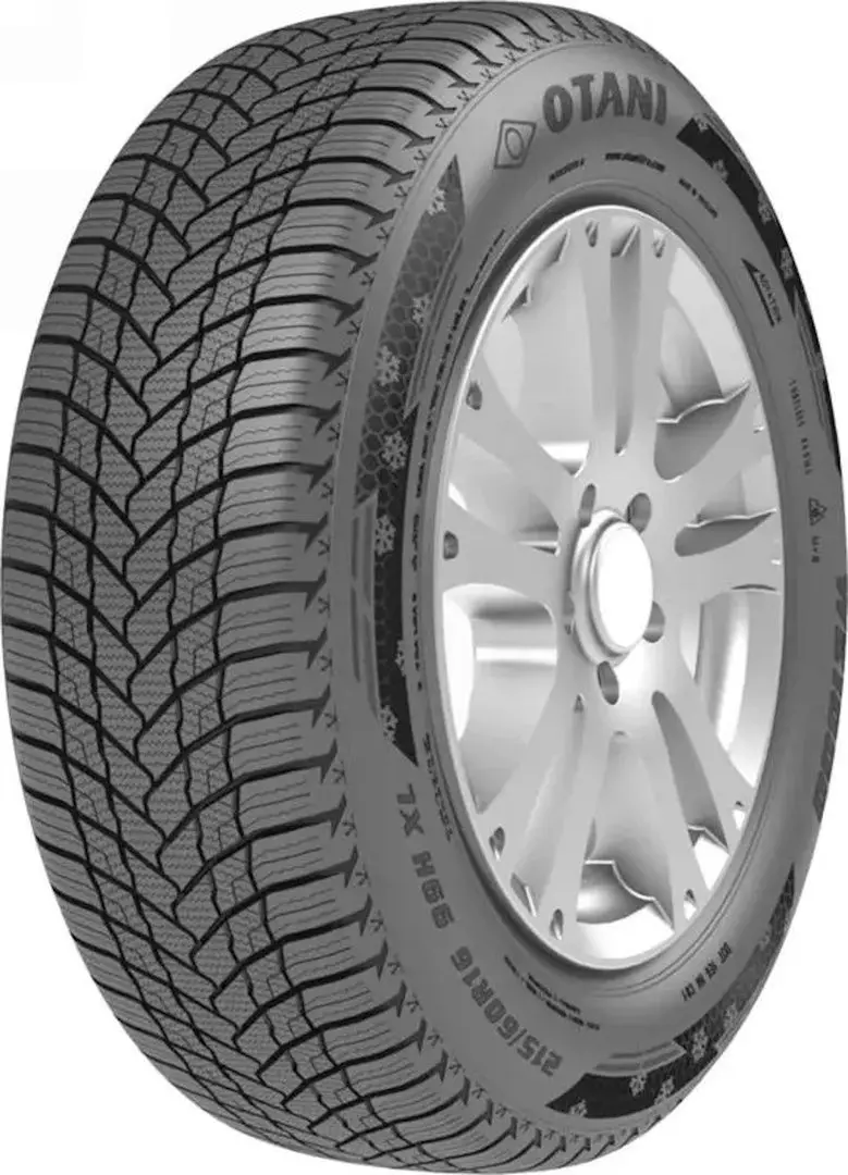 Шины Otani WE1000 195/55 R15 85H
