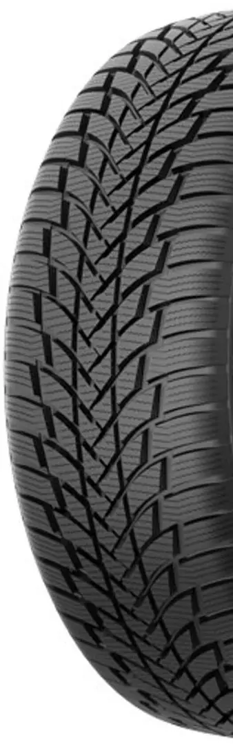 Anvelope Petlas SnowMaster 2 195/55 R15 85H - 2