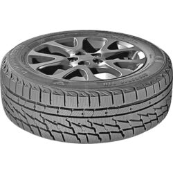 Шины Premiorri ViaMaggiore Z Plus 215/70 R16 100H Thumb