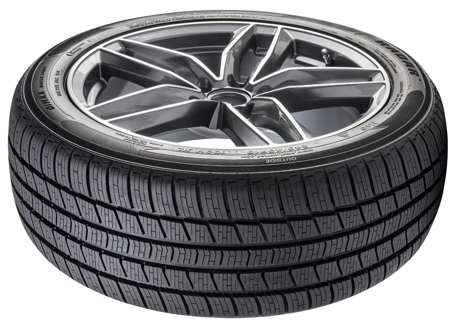 Anvelope Radar Dimax Winter Sport 215/65 R17 103H XL TL 3PMSF - 4