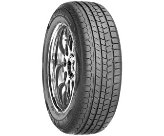 Шины Roadstone Eurovis Alpine WH1 195/65 R15 91H