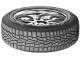 Шины Roadstone Winguard WinSpike LT 195/75 R16C 107R