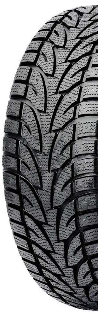 Шины RoadX RXFrost WH12 255/45 R21 106T XL - 3