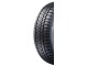 Шины Sunny NW211 235/55 R19 105V