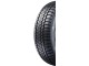 Шины Sunny Winter-Max A1 NW211 225/45 R18 99V