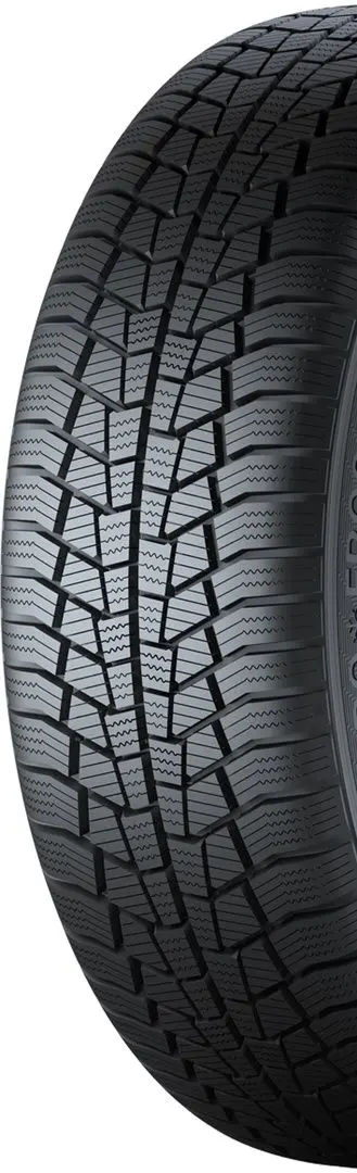 Шины Gislaved Euro Frost 6 245/45 R18 100V XL FR - 2