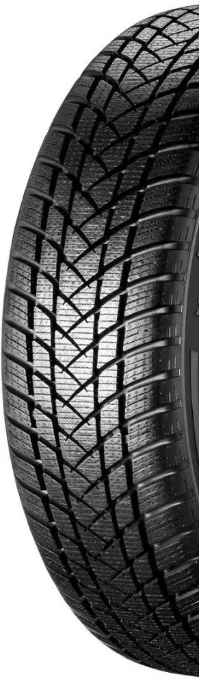 Шины GT Radial WinterPro2 195/65 R15 91H - 2