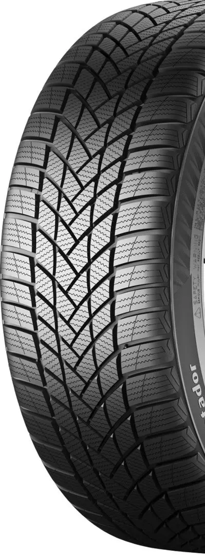 Шины Matador MP93 Nordicca 225/50 R17 98V XL FR - 2