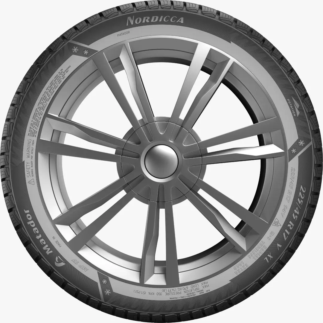 Шины Matador Nordicca MP93 195/55 R16 91H XL - 5