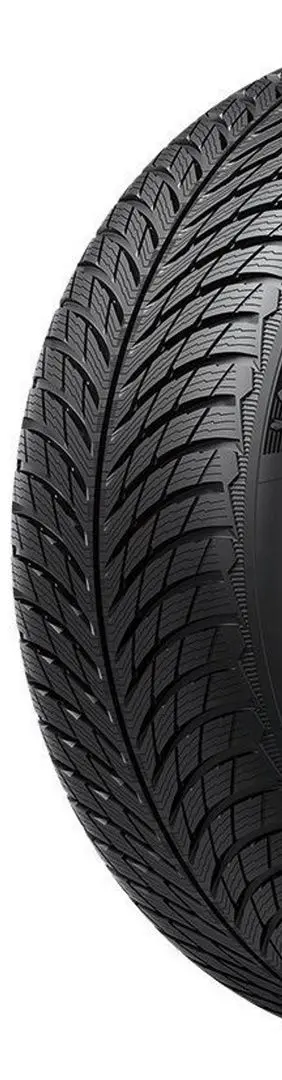 Шины Michelin Pilot Alpin 5 245/45 R17