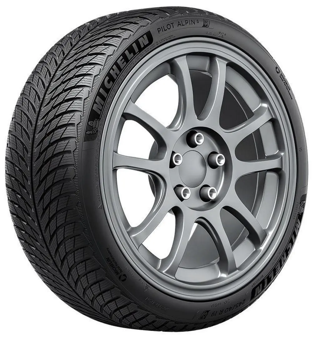 Шины Michelin Pilot Alpin 5 245/45 R17
