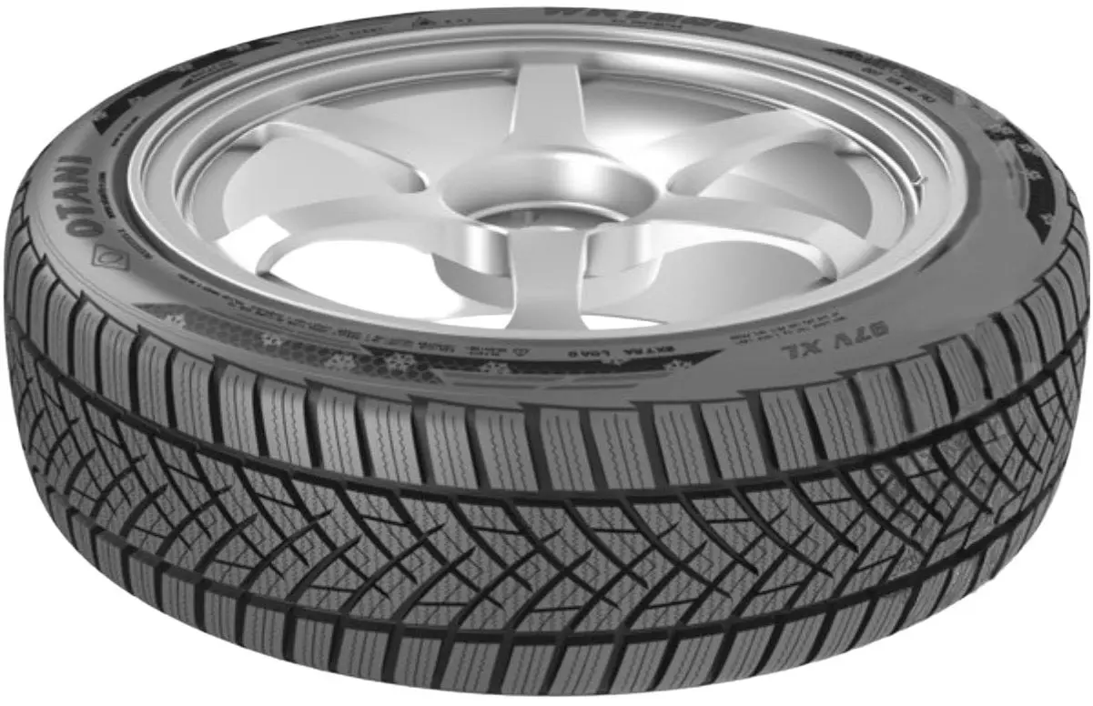 Шины Otani WK1000 205/55 R16 91H - 3