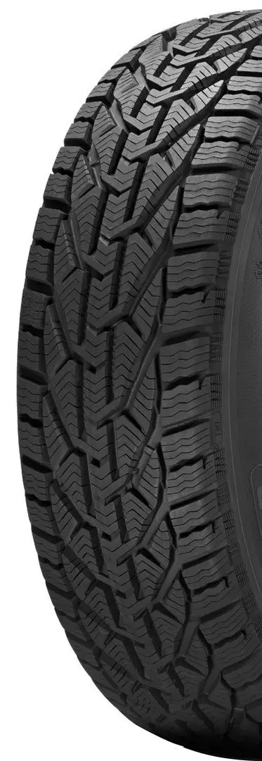 Шины Tigar Winter 205/55 R17 95V XL