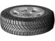 Anvelope Michelin Agilis CrossClimate 195/70 R15C 104T