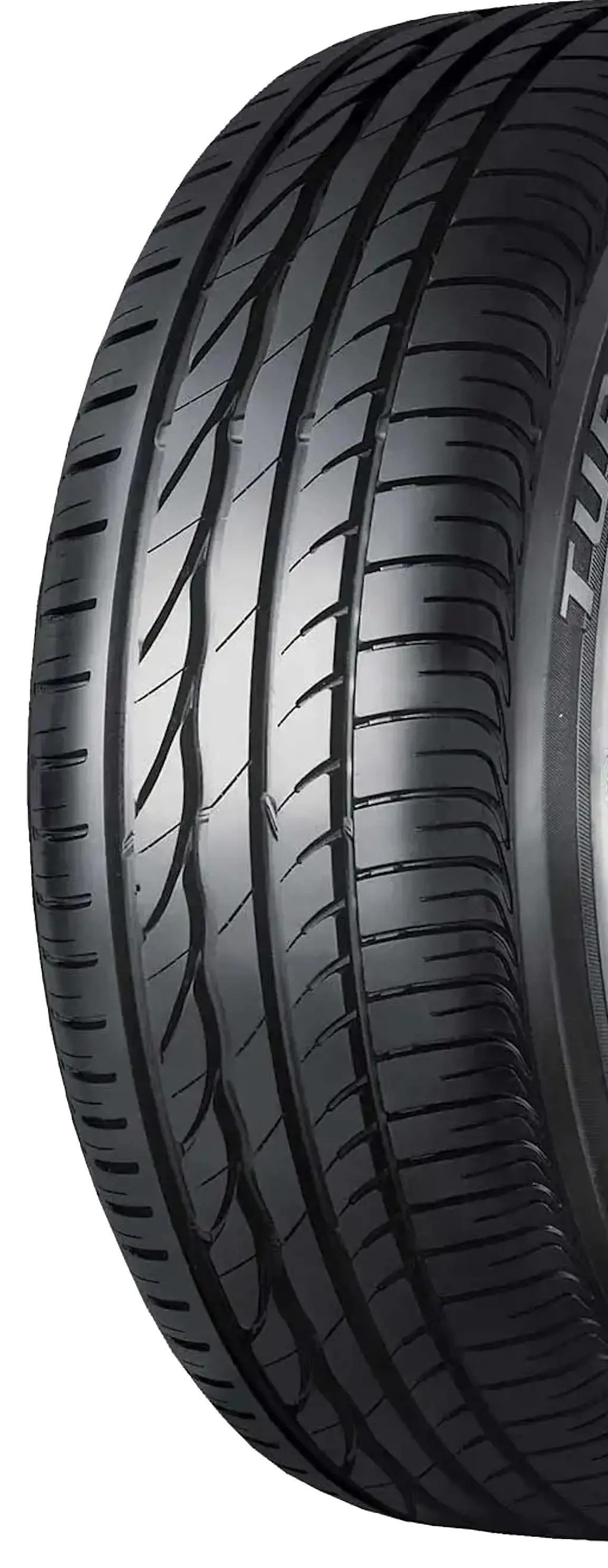 Шины Bridgestone Turanza ER300 225/55 R16 99W - 2