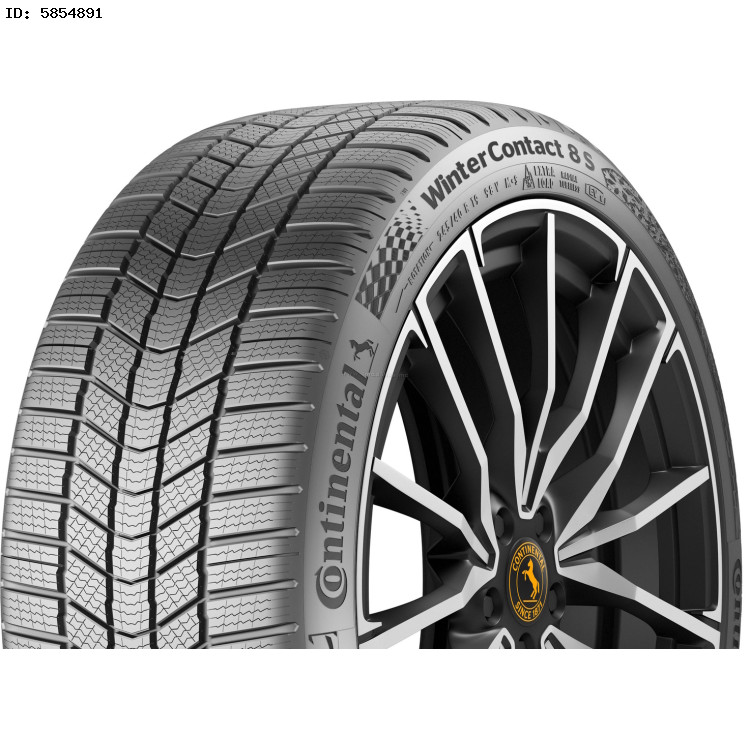 Erstaunlich Conti Winter Contact Ts 870 Bildernull